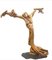Tiburzi, Escultura de Cristo grande, madera de olivo, años 20, Imagen 1