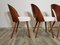 Dining Chairs by Antonin Suman, 1960s, Set of 4 4