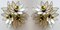 Italian Glass Flowers and Brass Sconces, 1970s, Set of 2, Image 1