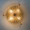 Gold, Clear Brass and Textured Glass Flush Mount attributed to Hillebrand, 1960s 9