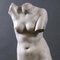 Büste von Venus, der Göttin der Liebe, 20. Jh., Verbundmaterial 2