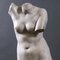 Busto di Venere, la dea dell'amore, XX secolo, materiale composito, Immagine 2