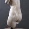 Busto de Venus, la diosa del amor, siglo XX, material compuesto, Imagen 3