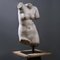 Bust of Venus the Goddess of Love, 20th Century, Composite Material 5