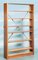 Vintage Minimalist Bookcase, 1960s, Image 1