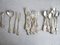 Silvered Coffee Cutlery with Rose Pattern, Germany, 1970s, Set of 28, Image 10