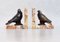 Art Deco Bird Book Ends, France, 1930s, Set of 2 1