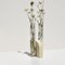Clear Cochlea Vase by Coki Barbieri, Image 5