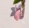 Cochlea Pink-Pink Vase by Coki Barbieri 5