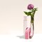 Cochlea Pink-Pink Vase by Coki Barbieri 4