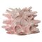 Coral Y Atlantis Collection Decorative Object by Angeliki Stamatakou 1