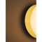Disco Wall Light by Contain 3
