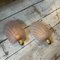 Mid-Century Modern Brass and Shell Shaped Pink Murano Glass Wall Sconces, 1980s, Set of 2, Image 3