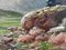 Henry Marko, Alpine View, década de 1890, óleo sobre lienzo, enmarcado, Imagen 5