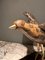 Uccello in marmo di Maitland Smith, anni '80, Immagine 3
