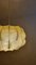 Große Nuvola Deckenlampe von Tobia Scarpa für Flos, 1969 6