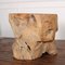 Sculptural Root Side Table 3