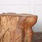 Sculptural Root Side Table 4