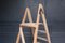 Vintage Beech Ladder, 1930s, Image 17