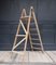 Vintage Beech Ladder, 1930s 20