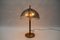 Mid-Century Modern Table Lamp in Brass and Murano Glass, 1960s 2