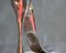 Manolo Blahnik Shoe Horn in Cast Aluminum, 2000s, Image 4