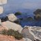 Louis Haas, Paesaggio marino, Olio su tela, XX secolo, Incorniciato, Immagine 3