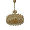 Chandelier in Gold Plate and Faceted Crystals from Palwa, 1970s 1