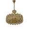 Chandelier in Gold Plate and Faceted Crystals from Palwa, 1970s, Image 1