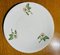 Dinner Service by Théodore Haviland, 1950s, Set of 36, Image 10