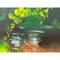 Colin Halliday, English River Landscape, Oil Painting, 2008, Framed 11