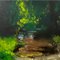 Colin Halliday, English River Landscape, Oil Painting, 2008, Framed 6