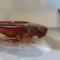 Large Modernist Red Sommerso Murano Glass Triangular Ashtray attributed to Seguso, 1960s 3