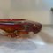 Large Modernist Red Sommerso Murano Glass Triangular Ashtray attributed to Seguso, 1960s, Image 3