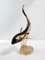 Large Vintage Brown and Amber Murano Glass Shark from Seguso, 1960s 3