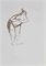 Roberto Cuccaro, Woman Dressing Up 2, Ink Drawing, 2000s 1
