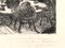 James Ensor, Le Roi Peste (Los reyes de la plaga), grabado, 1895, Imagen 2