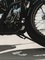 Luca Pagani, Harley Davidson 883 Custom, Acryl auf Aluminium, 2008 3
