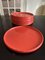 Plats Corail par Corail Nidervillers, 1970s, Set de 24 4