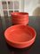 Plats Corail par Corail Nidervillers, 1970s, Set de 24 3