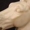 Italian Artist, Horse's Head Sculpture, Early 20th Century, Marble 6