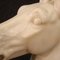Italian Artist, Horse's Head Sculpture, Early 20th Century, Marble, Image 6