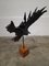 Pino Aldrovandi, Eagle Sculpture, 1960s, Wrought Iron 7