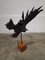 Pino Aldrovandi, Eagle Sculpture, 1960s, Wrought Iron, Image 7