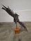 Pino Aldrovandi, Eagle Sculpture, 1960s, Wrought Iron 8