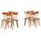 Vintage Dining Chairs in Pine by Göran Malmvall, 1940s, Set of 8 1