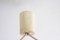 Lámpara colgante doble danesa de teca y sisal de Temde, años 60, Imagen 8