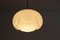 Lámpara colgante Artichoke Seerose de Peill & Putzler para Lowy + Koch, años 70, Imagen 6