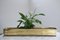 Mid-Century Hollywood Regency Planter in Brass 7