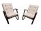 Art Deco Lounge Chairs attributed to Jan Vanek, Former Czechoslovakia, 1920s, Set of 2, Image 1